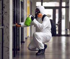 Best Mold Removal for HVAC Installations in Walton Hills, OH